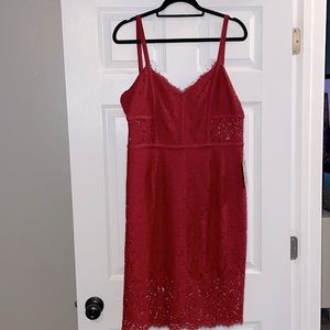 Express- Red, lace dress